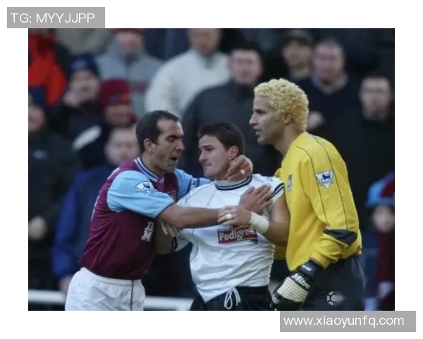 意大利足球传奇白头翁的辉煌岁月与不朽影响力探讨